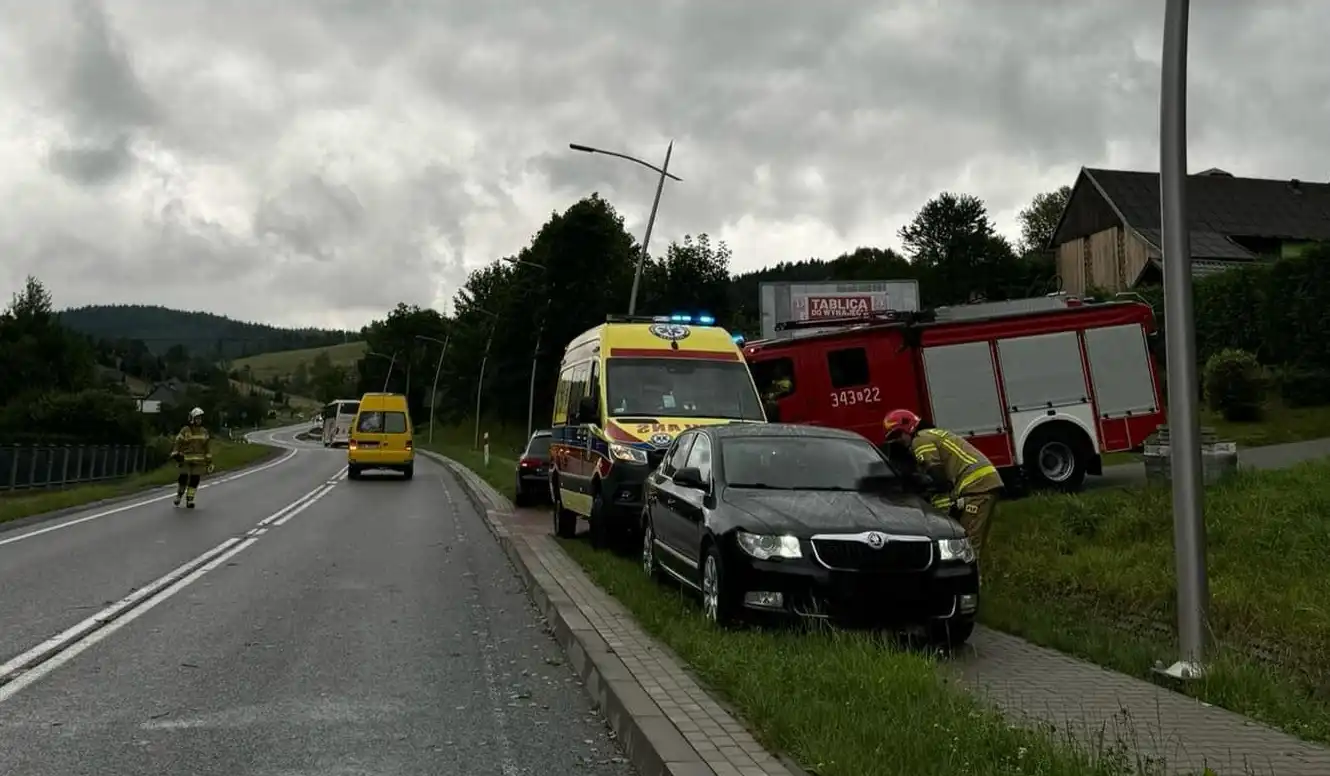 Groźne zdarzenie na drodze do Krynicy. Drzewo spadło na samochód z niemowlęciem, kawałki rozbitej szybki spadły na dziecko.
