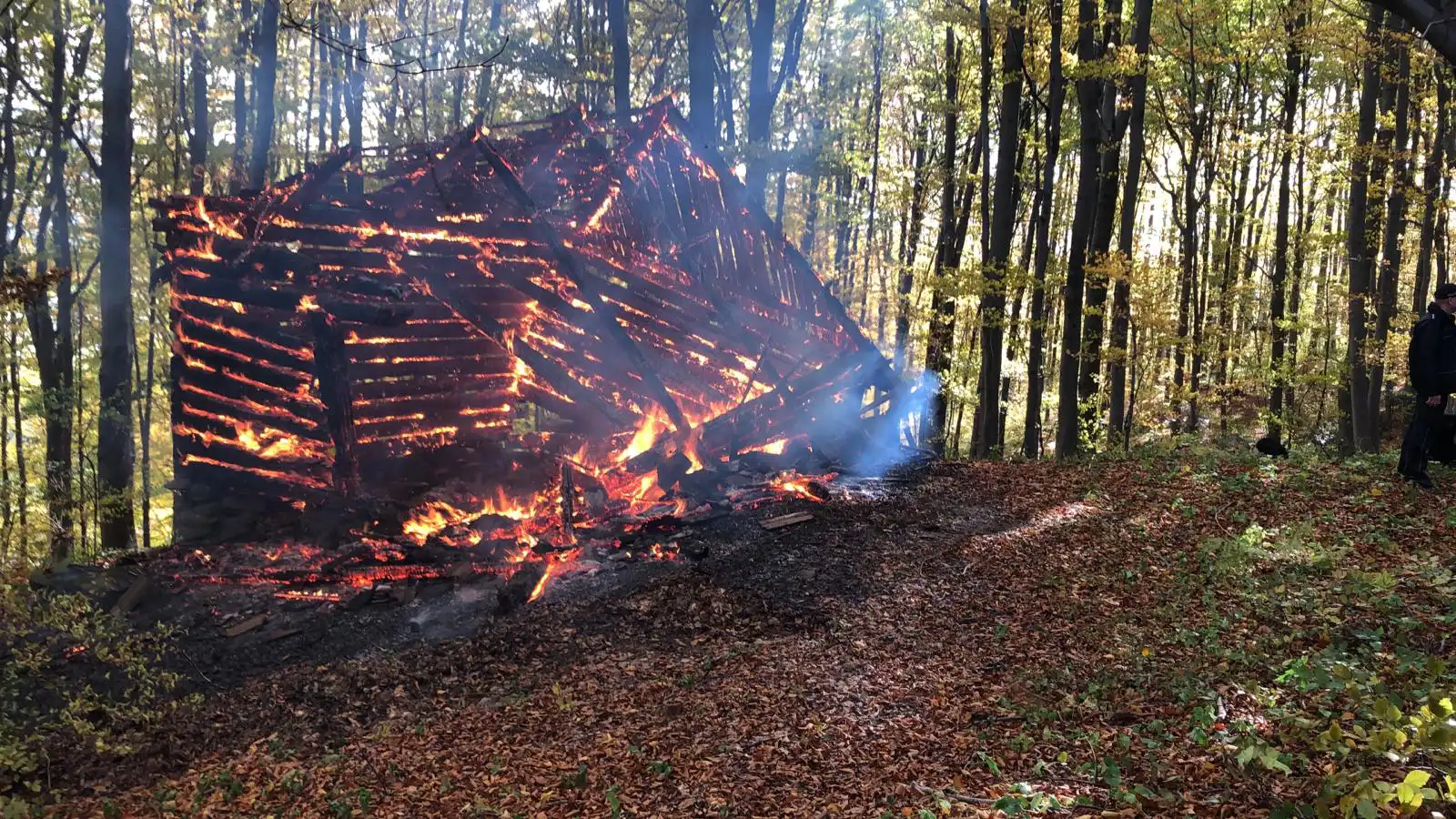 Pożar pustostanu w Rytrze. Drewniany budynek całkowicie spłonął