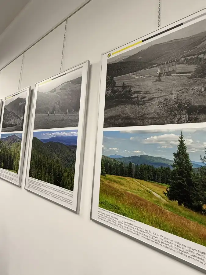 Z Gorczańskich lasów do Mszany Dolnej. Niezwykła wystawa fotografii