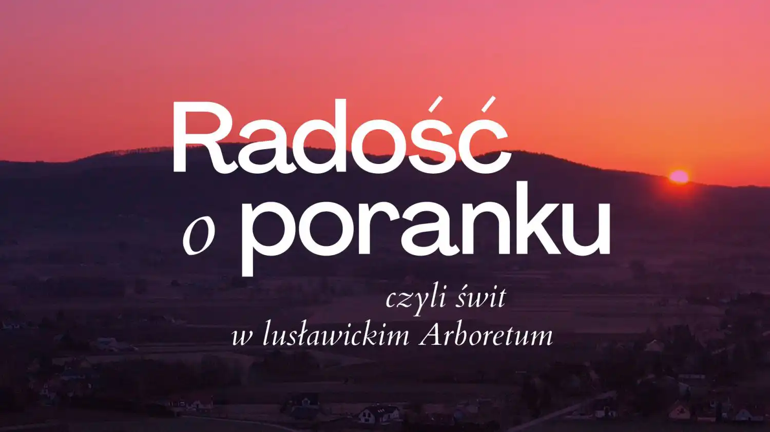 Małopolska: Wydarzenia kulturalne na weekend 11-15 sierpnia