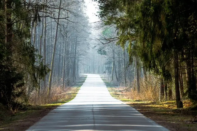 Nowe drogi w Gminie Tymbark. Prace ruszą jeszcze w tym roku
