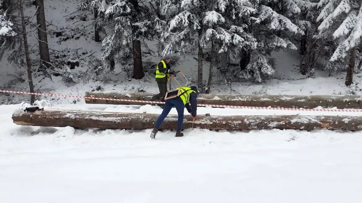 ZS w Starym Sączu: uczniowie odbywają praktyki w firmach i instytucjach oraz w… lesie