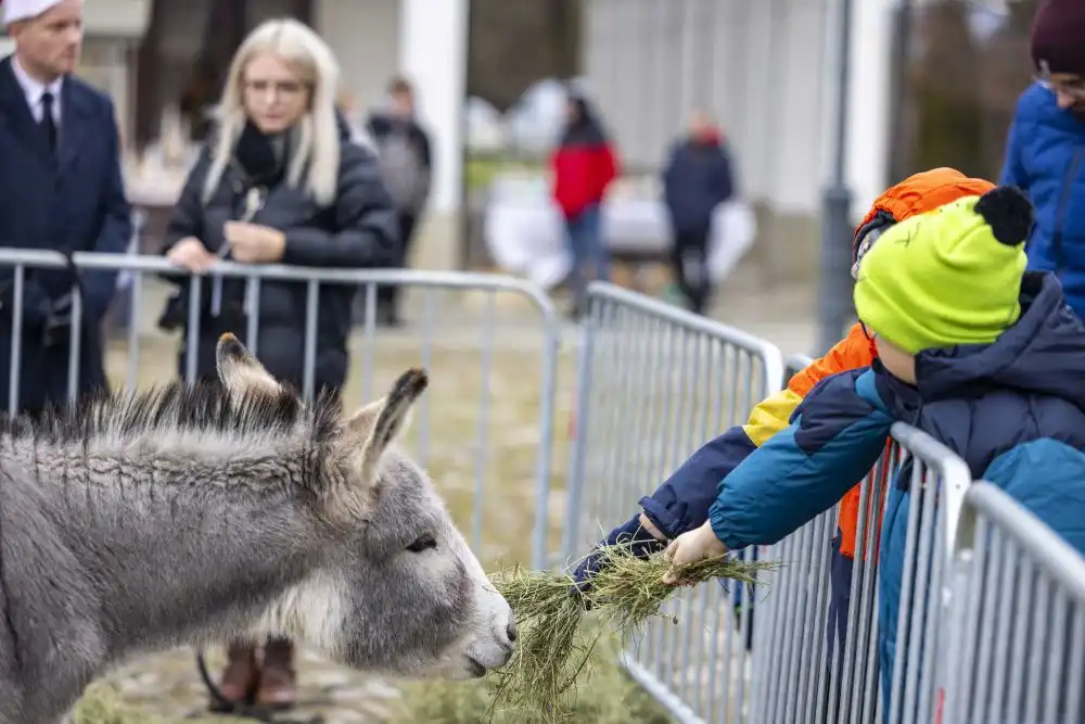 Świąteczny Jarmark z Mikołajem. Największe Bożonarodzeniowe wydarzenie na Sądecczyźnie