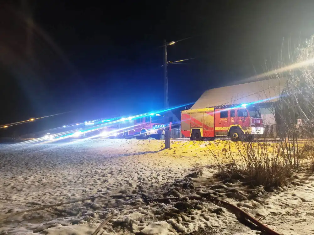 Pożar domku letniskowego w Białej Niżnej