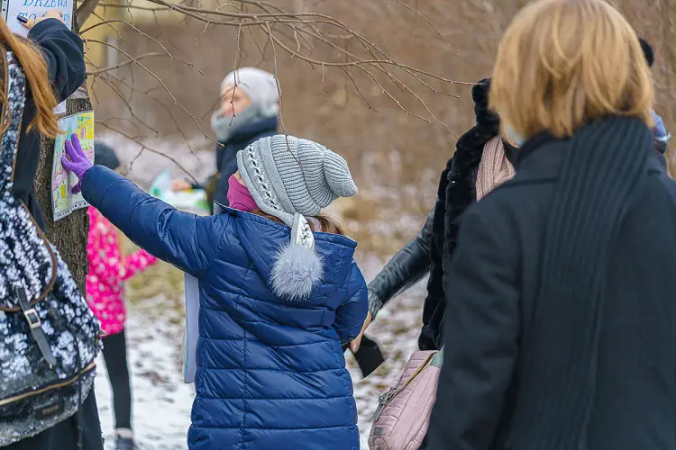 Mieszkańcy osiedla Nawojowska walczą o park. Nie chcą wycinki ponad stu drzew