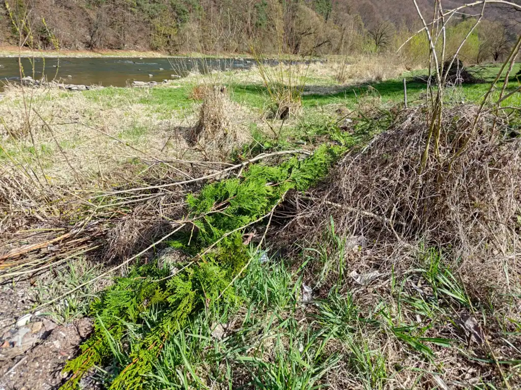 Nie wyrzucaj śmieci nad Poprad! Gmina Rytro apeluje do mieszkańców