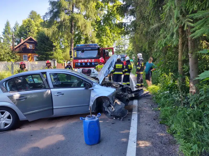 Ptaszkowa: stracił kontrolę nad autem i uderzył w drzewo