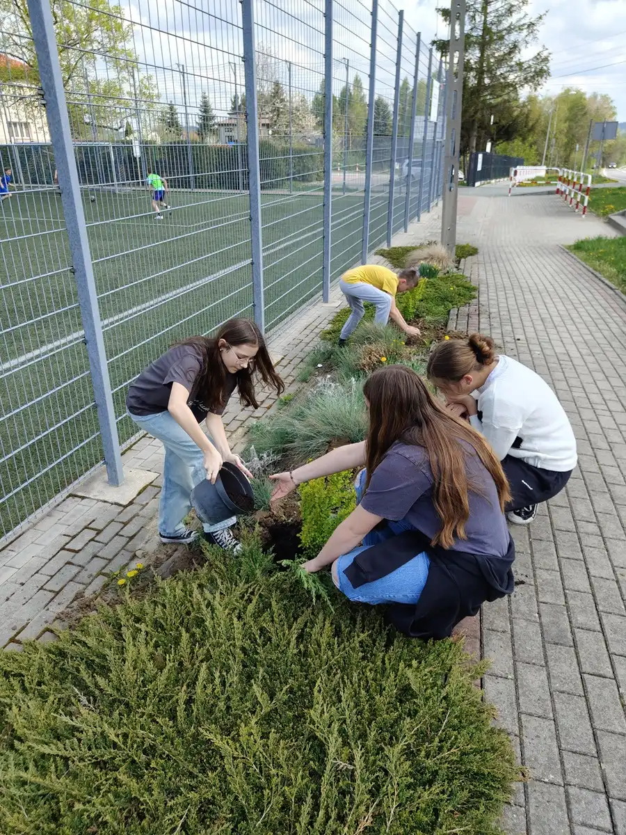 Krzewy dla ziemi. Uczniowie Krygu w ekologicznej akcji