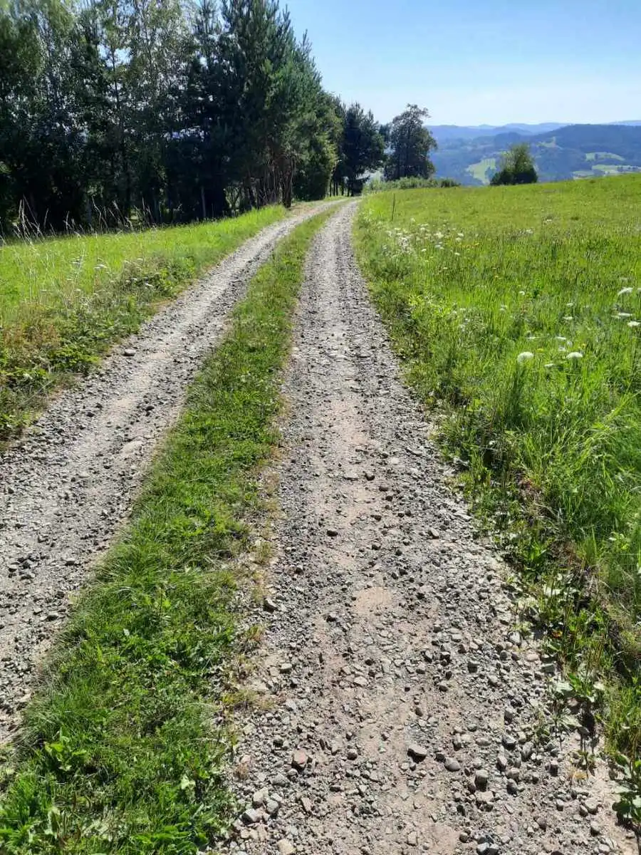 Nowa nawierzchnia i odwodnienie. Rusza inwestycja drogowa w gminie Łososina Dolna