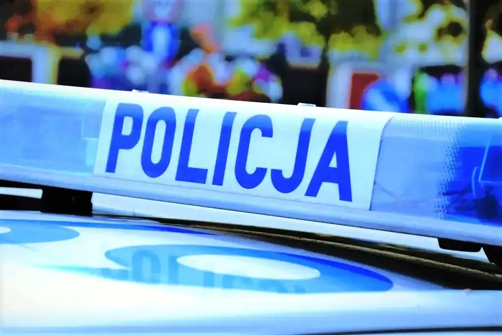 Poszukiwani nie mieli szans. Seria zatrzymań w powiecie gorlickim