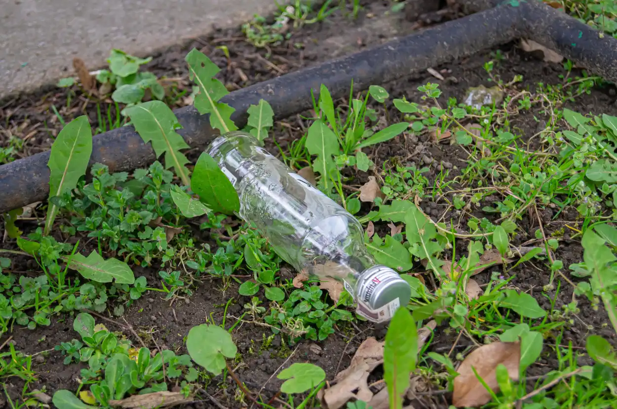22 kwietnia społeczne sprzątanie Starego Cmentarza