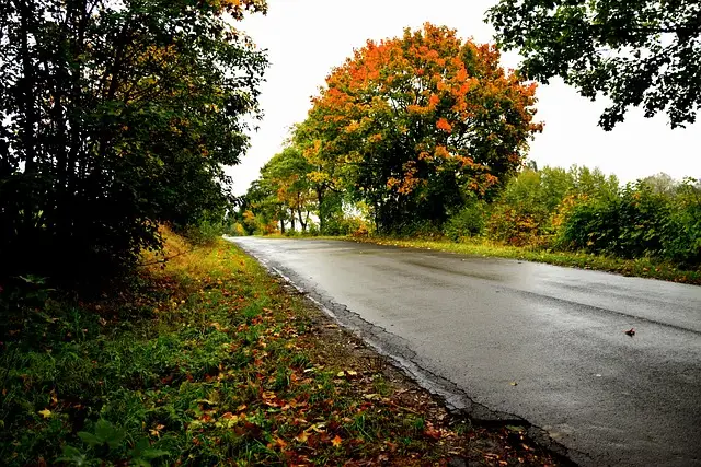 Miliony na drogi w regionie. Kolejne samorządy z rządowym wsparciem