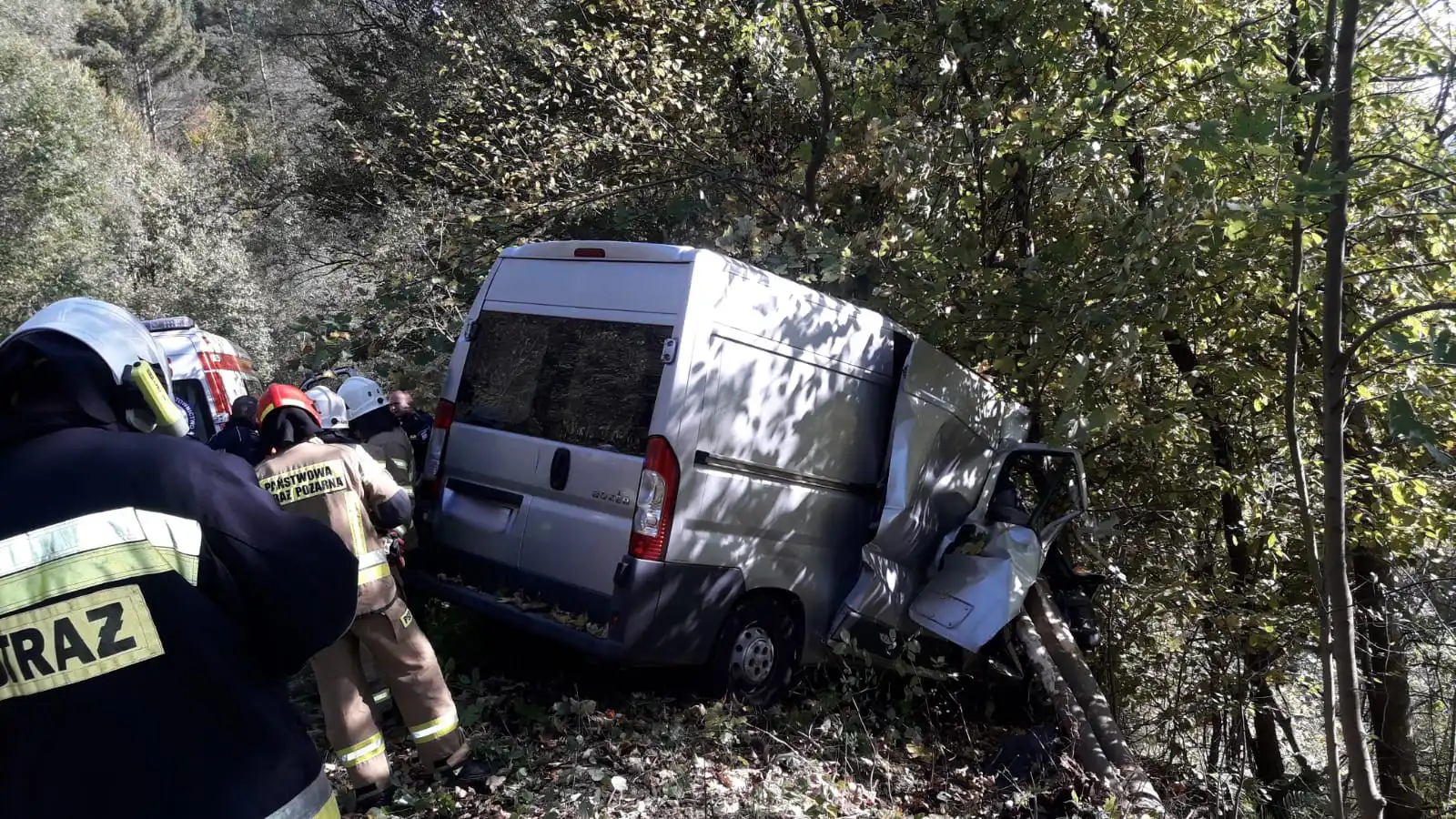 Leluchów. Wypadek samochodu dostawczego. Pojazd zjechał z drogi i uderzył w drzewa