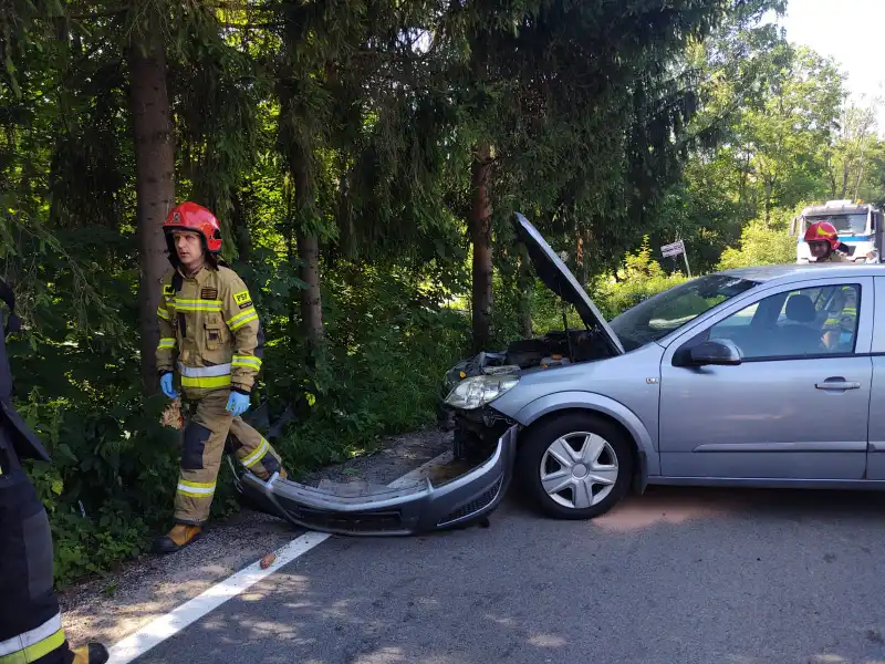 Ptaszkowa: stracił kontrolę nad autem i uderzył w drzewo