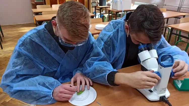 ZS w Marcinkowicach: Zaglądają do tkanek roślinnych i przyglądają się jamie brzusznej człowieka