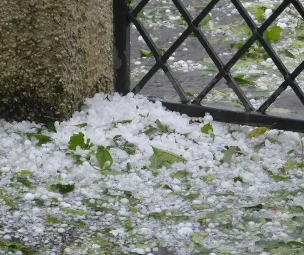 Gradobicie i spore straty w sadach w powiecie nowosądeckim