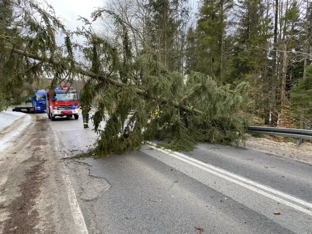 Silny wiatr powalił kilka drzew na Sądecczyźnie. Interweniowali strażacy