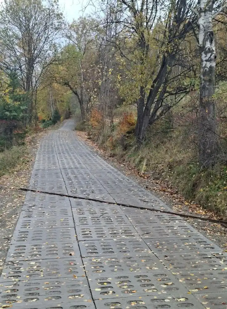 Lepszy dojazd do pól i domów. Gmina Piwniczna-Zdrój kończy modernizację dróg rolniczych