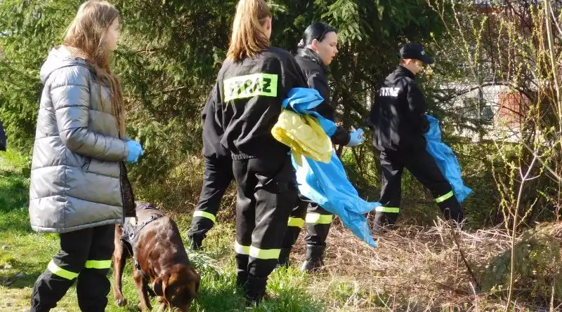 Akcja sprzątania w Starym Sączu. Przeprowadziły ją Młodzieżowe Drużyny Pożarnicze OSP