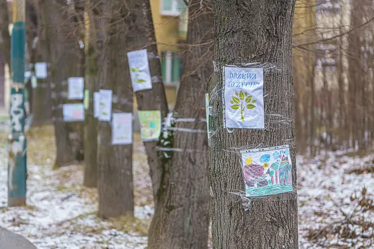 Mieszkańcy osiedla Nawojowska walczą o park. Nie chcą wycinki ponad stu drzew