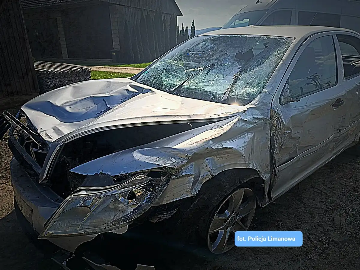 Tragedia w Krasnych Lasocicach. 10-latek zginął potrącony przez pijanego kierowcę