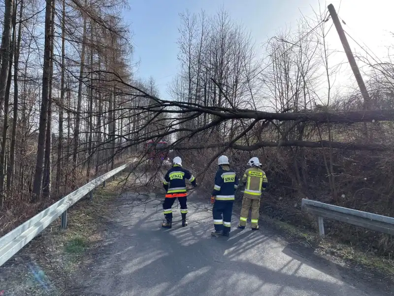 Pracowity weekend sądeckich strażaków. Gasili pożary i usuwali skutki wichury