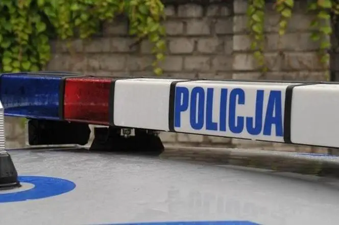 Limanowscy kryminalni znaleźli w jednym z nowobudowanych domów plantację konopi