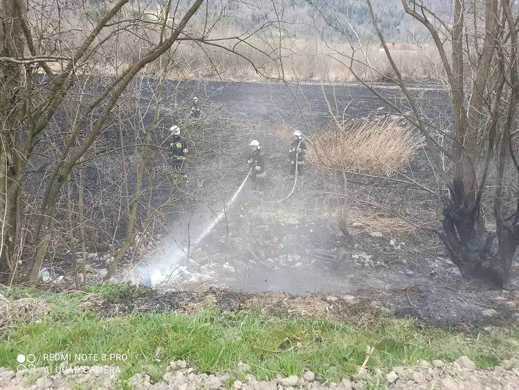 Na Sądecczyźnie płoną suche trawy
