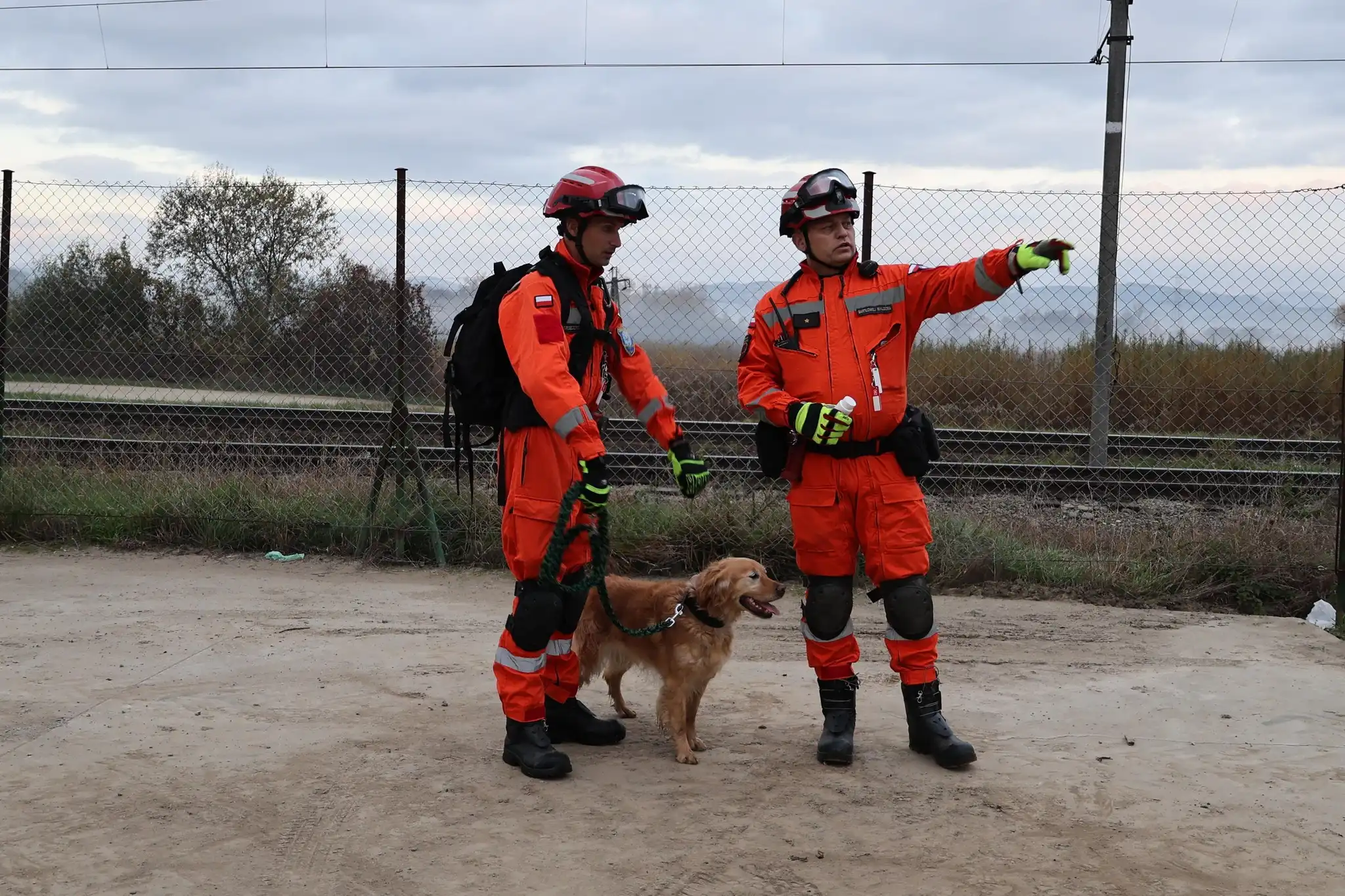 Siły ratunkowe w akcji. Nowy Sącz 2024. Manewry po trzęsieniu ziemi