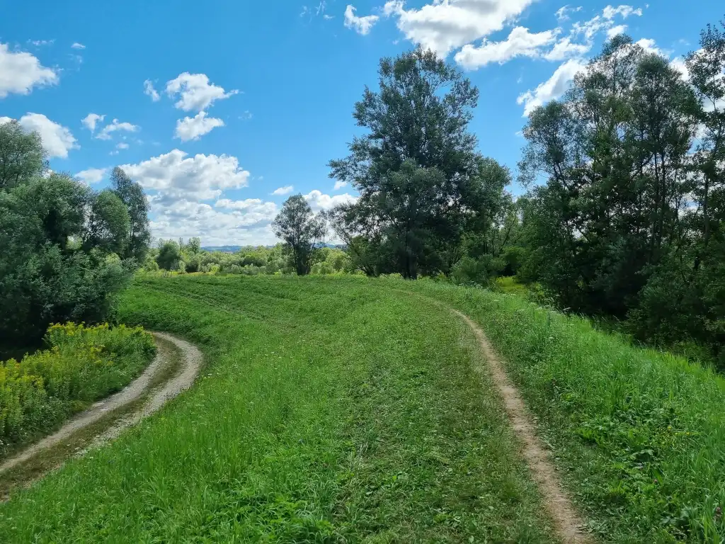Nowe inwestycje rowerowe i biegowe w Gminie Chełmiec