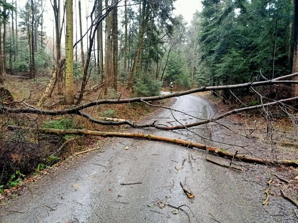 Wichura na Sądecczyźnie. Kilkadziesiąt interwencji strażaków