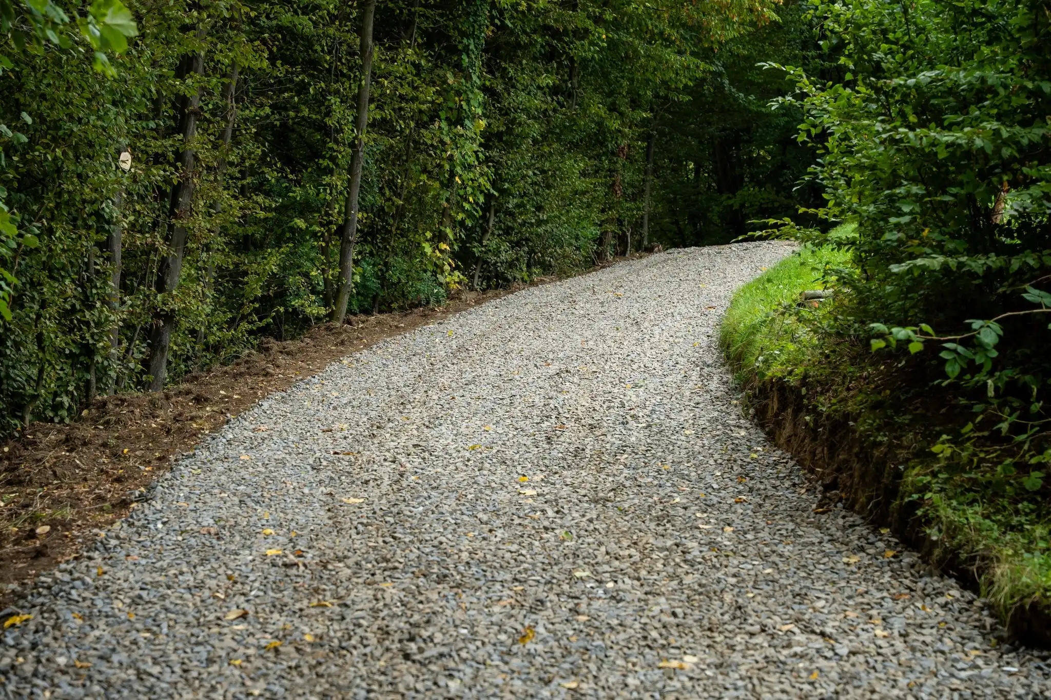 Jelna – Działy z nową nawierzchnią. Beton zastąpi płyty drogowe