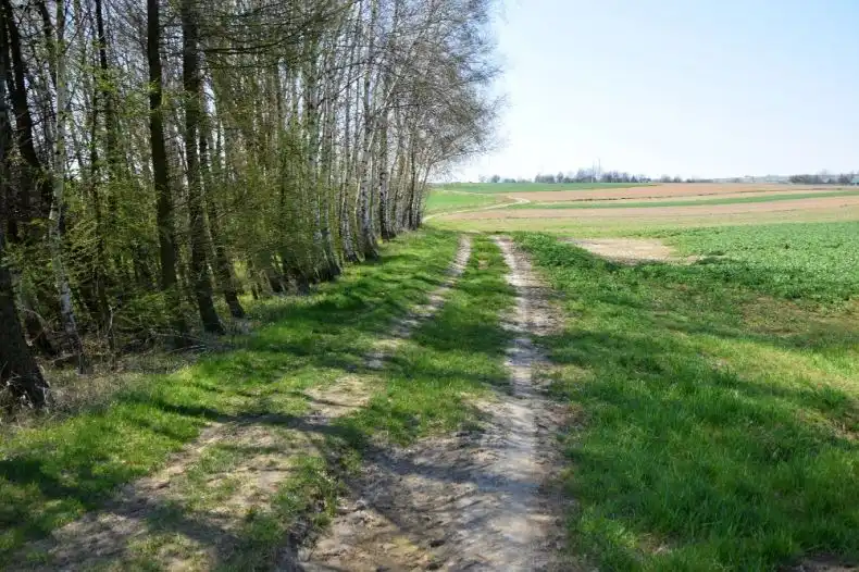 Małopolska: Blisko 25 mln zł na remonty dróg dojazdowych do pól