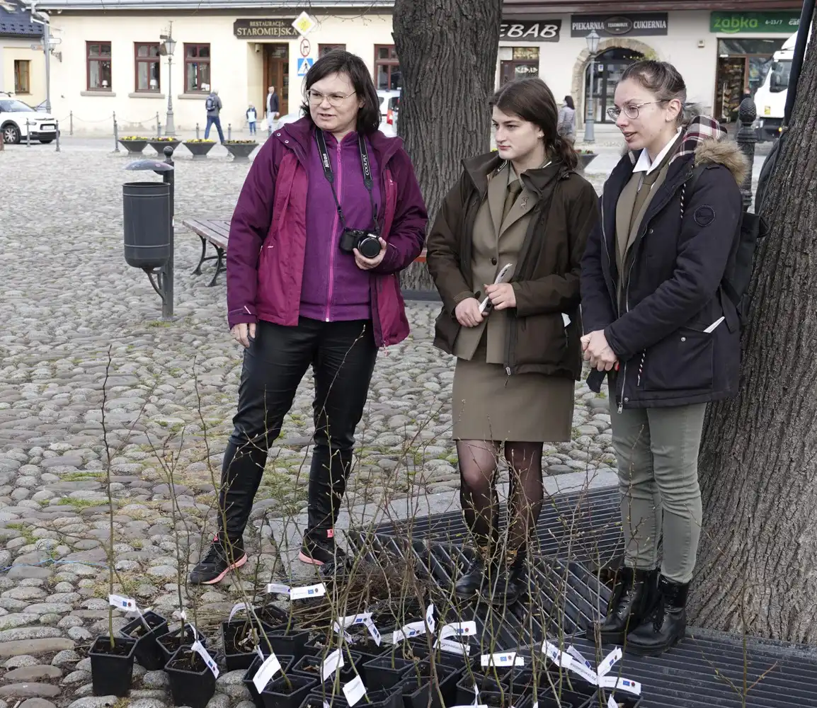 I Małopolski Dzień dla Klimatu na starosądeckim rynku: Sadzonki drzewek rozeszły się jak ciepłe bułeczki