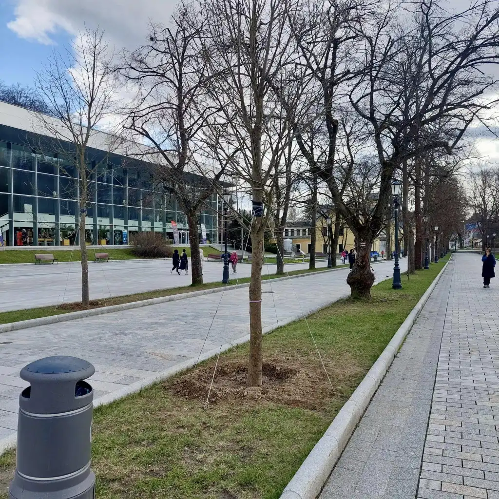 Krynicki Deptak rozkwita na nowo