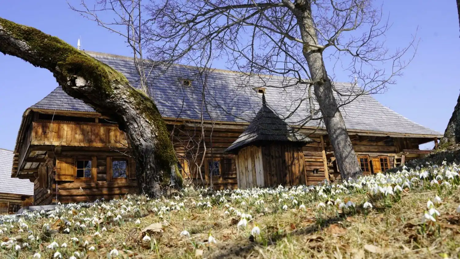 Małopolska: Wydarzenia kulturalne na weekend 28 kwietnia - 3 maja