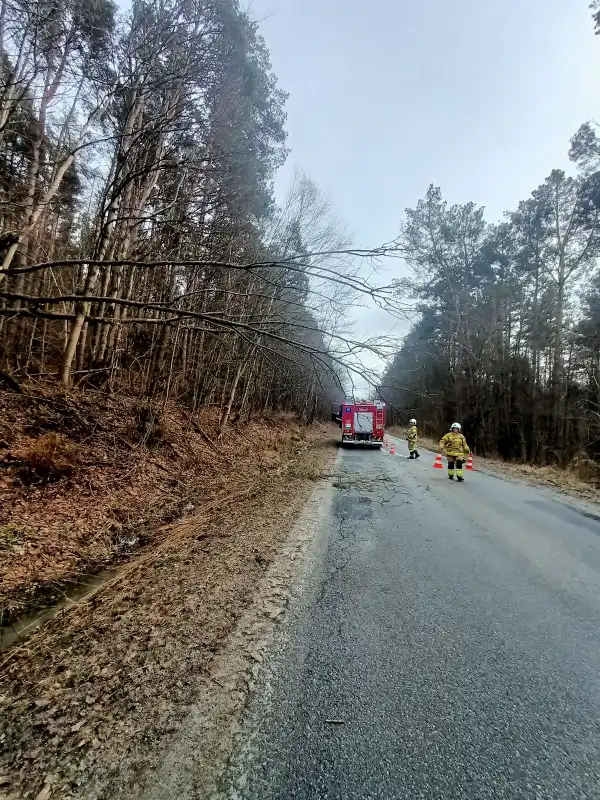 Sądecczyzna: Wietrzny początek tygodnia. Interweniowali strażacy