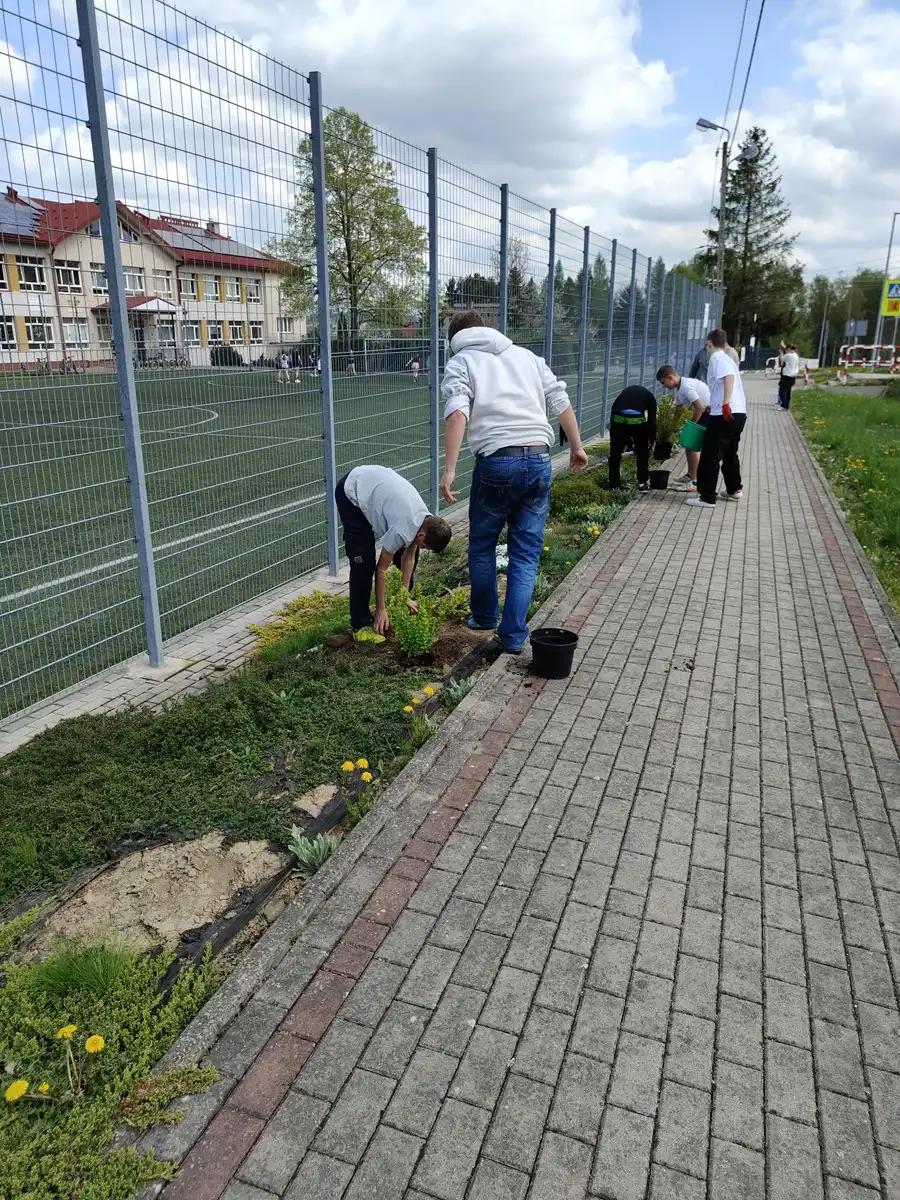 Krzewy dla ziemi. Uczniowie Krygu w ekologicznej akcji