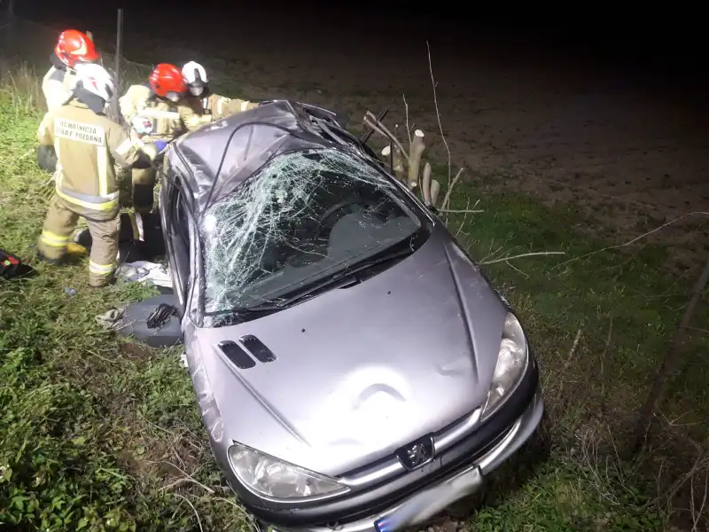 W Brzeznej osobówka wypadła z drogi i uszkodziła ogrodzenie
