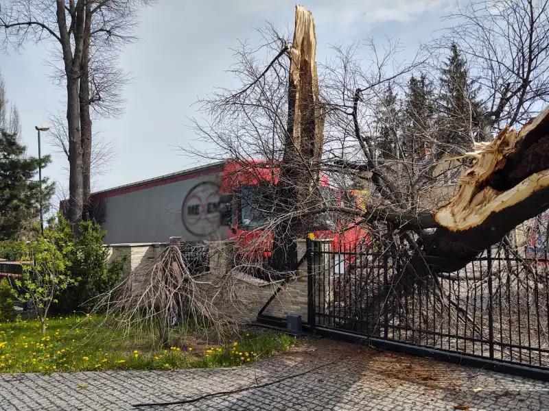 Wypadek na ul. Nawojowskiej w Nowym Sączu: rozbita ciężarówka, złamane drzewo, uszkodzony płot