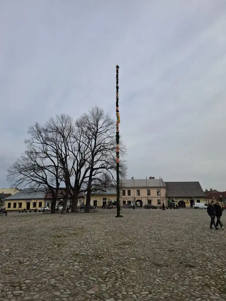 Wielkanocna Palma już na Rynku w Starym Sączu