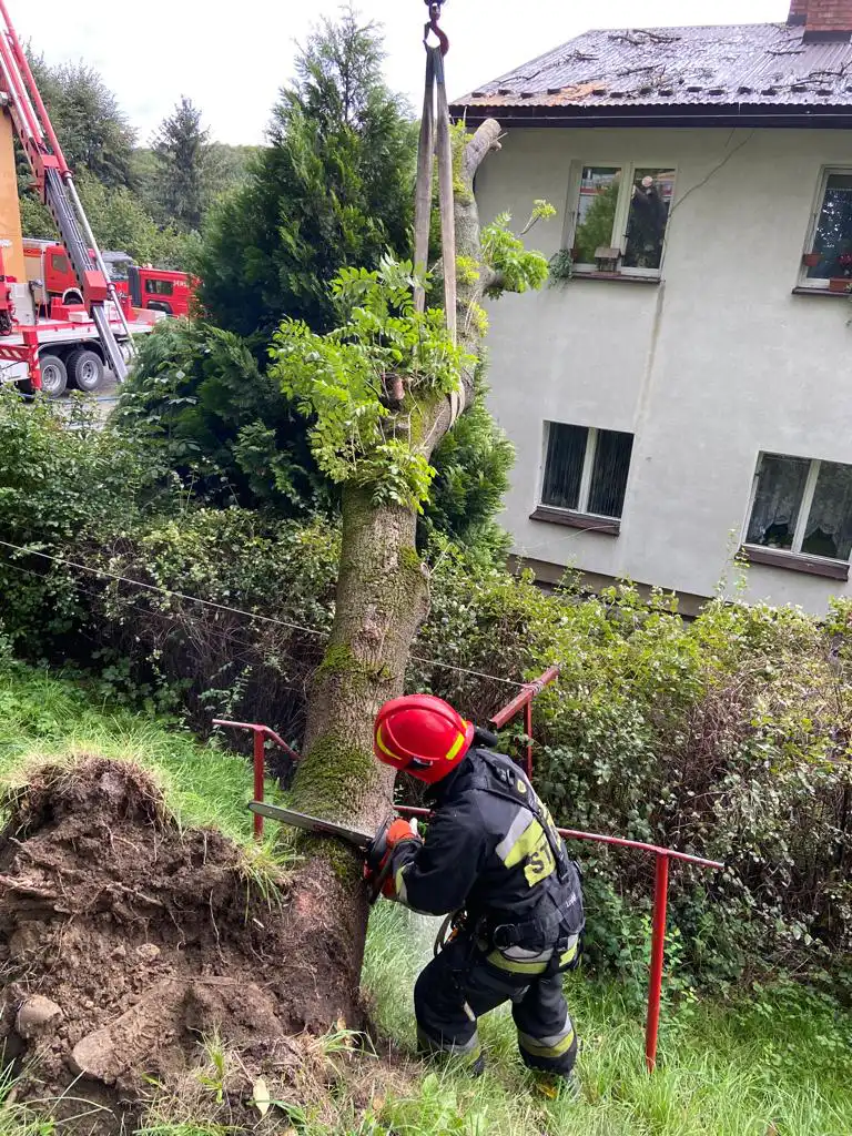 W Jazowsku drzewo spadło na dach budynku mieszkalnego