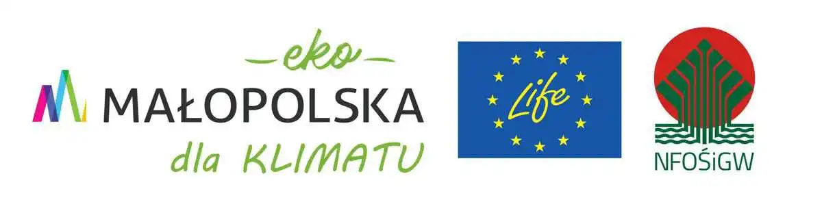 Nowy Sącz weźmie udział w Projekcie „Czyste, Zielone Miasta”
