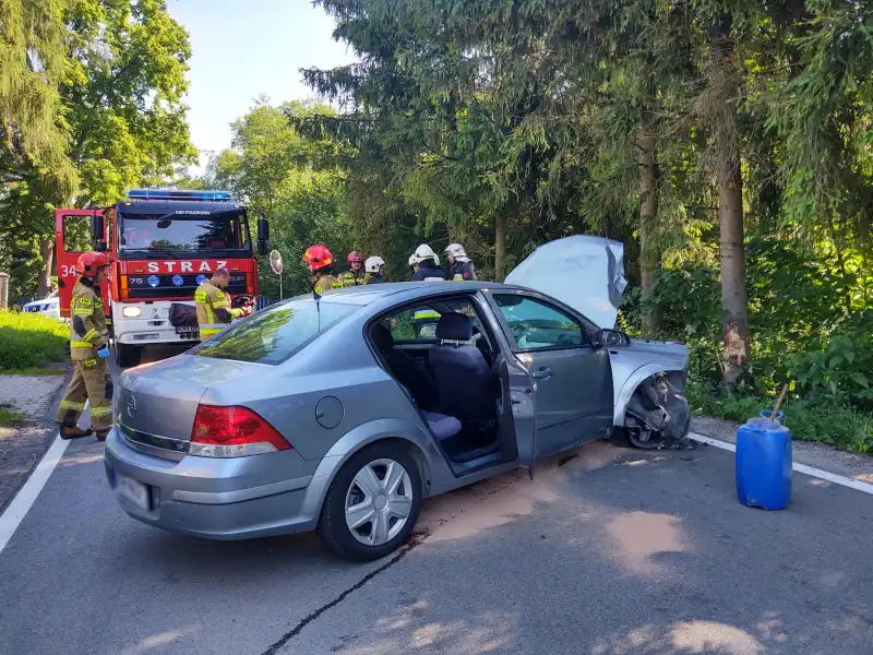 Ptaszkowa: stracił kontrolę nad autem i uderzył w drzewo