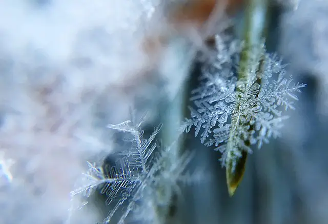Uwaga! Spadek temperatury do -17 stopni i wiatr