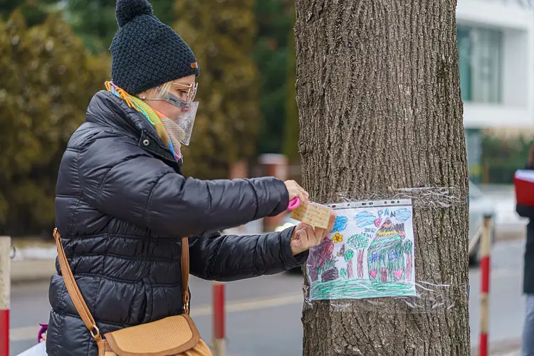 Mieszkańcy osiedla Nawojowska walczą o park. Nie chcą wycinki ponad stu drzew