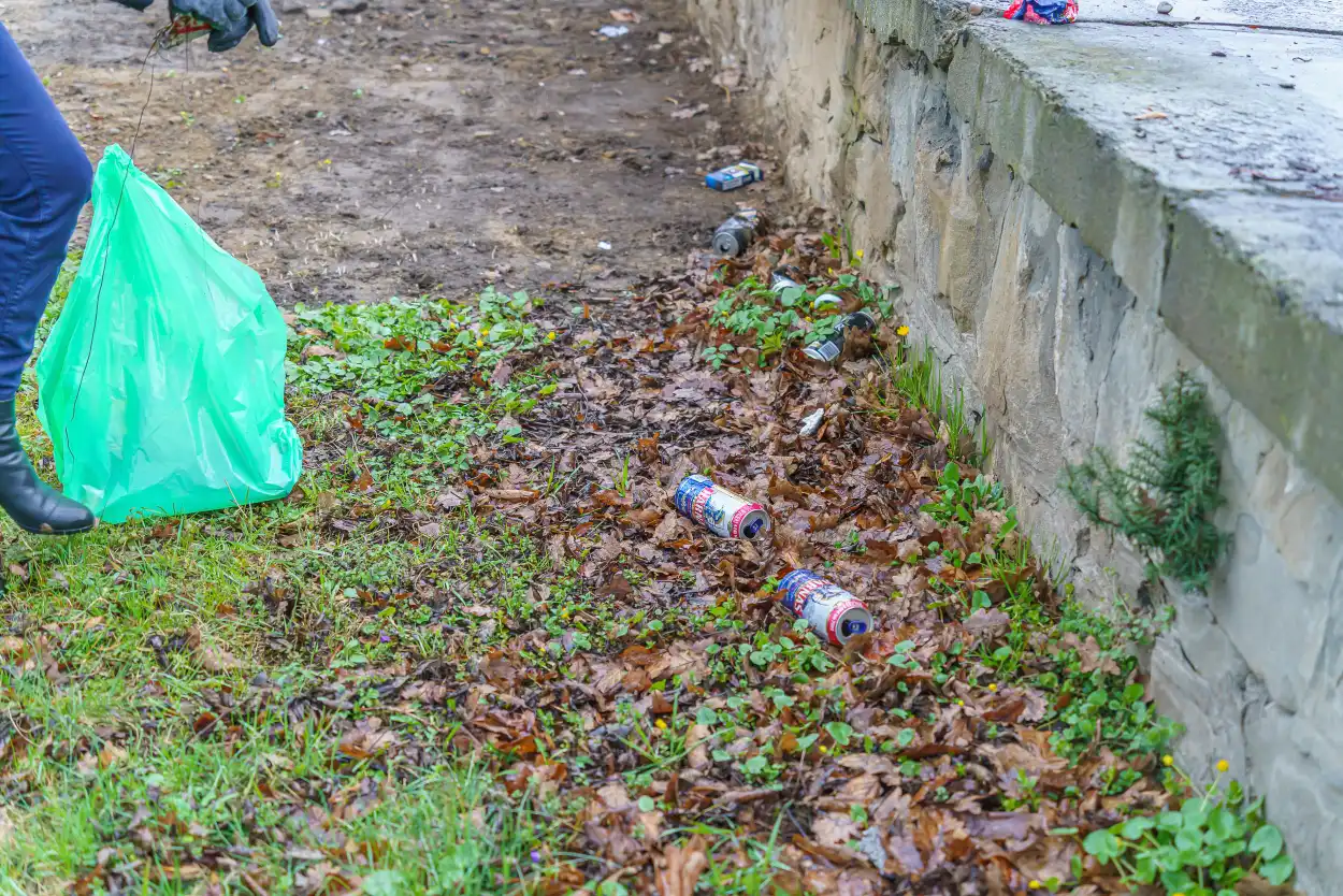 Wolontariusze po raz czwarty posprzątali Stary Cmentarz w Nowym Sączu