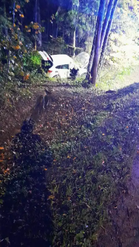 Wypadek w Łazach Biegonickich. Samochód osobowy wypadł z drogi, uderzył w drzewo i wylądował w przydrożnym rowie