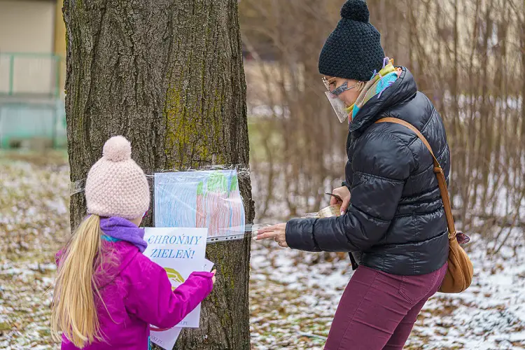 Mieszkańcy osiedla Nawojowska walczą o park. Nie chcą wycinki ponad stu drzew