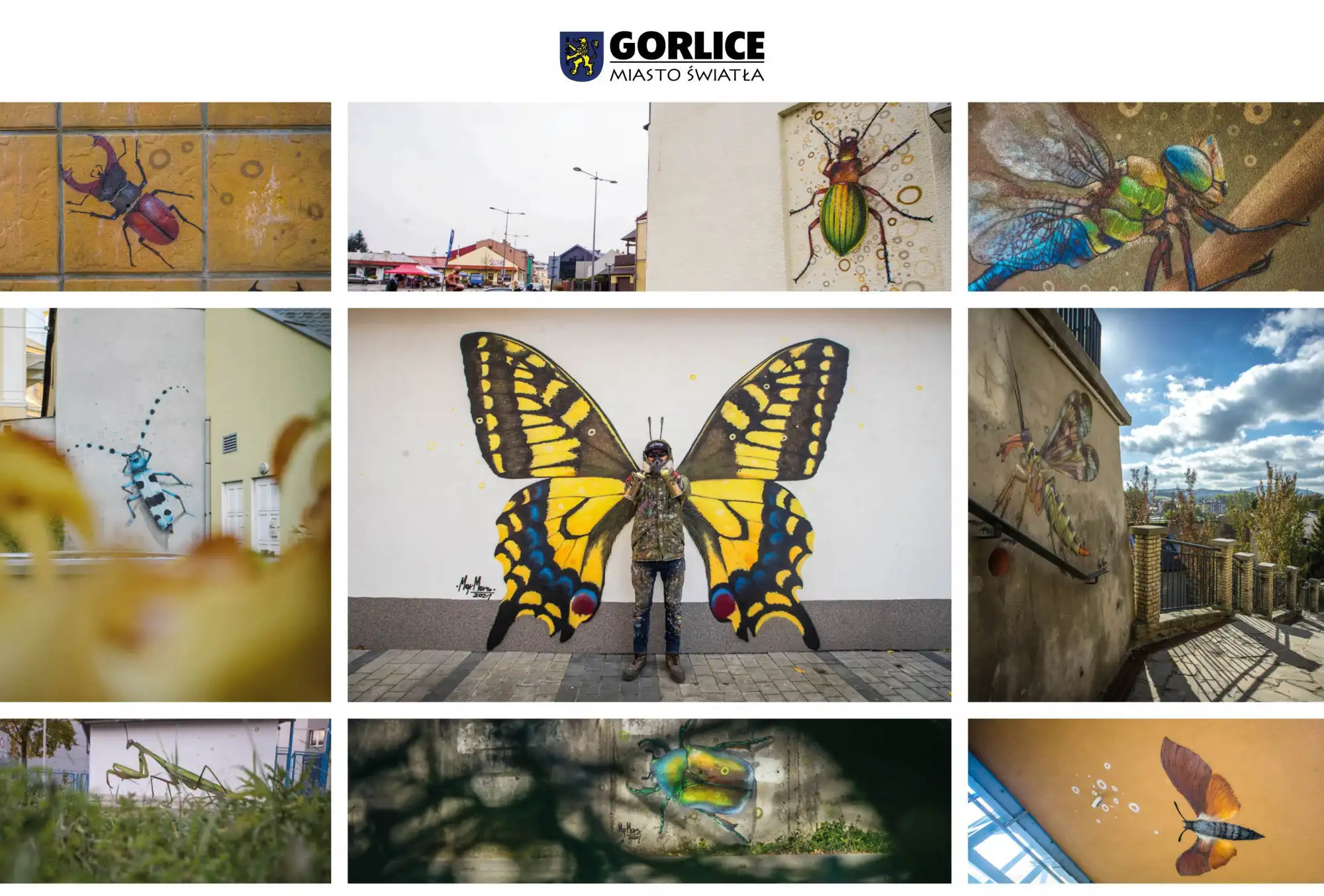 Nowe murale owadzie w Gorlicach i edukacyjne atrakcje dla dzieci. Rusza projekt „Uliczny atlas owadów”